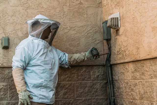 Champion Pest & Termite Control — photo from the business 8