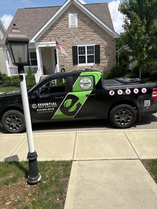Essential Pest Control — customer photo 3