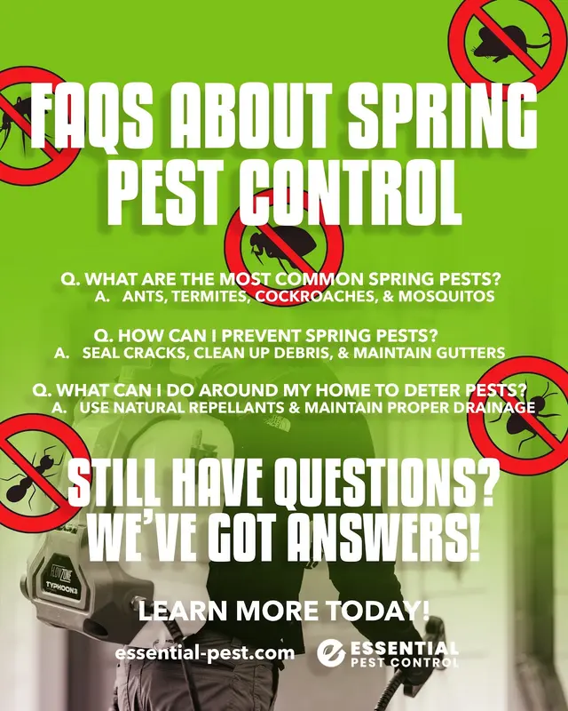 Essential Pest Control — photo from the business 11