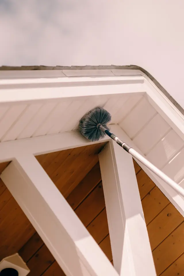 Essential Pest Control — photo from the business 9
