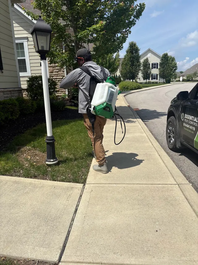 Essential Pest Control — customer photo 4