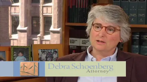 Schoenberg Family Law Group, P.C. - Divorce Attorneys — photo from the business 1