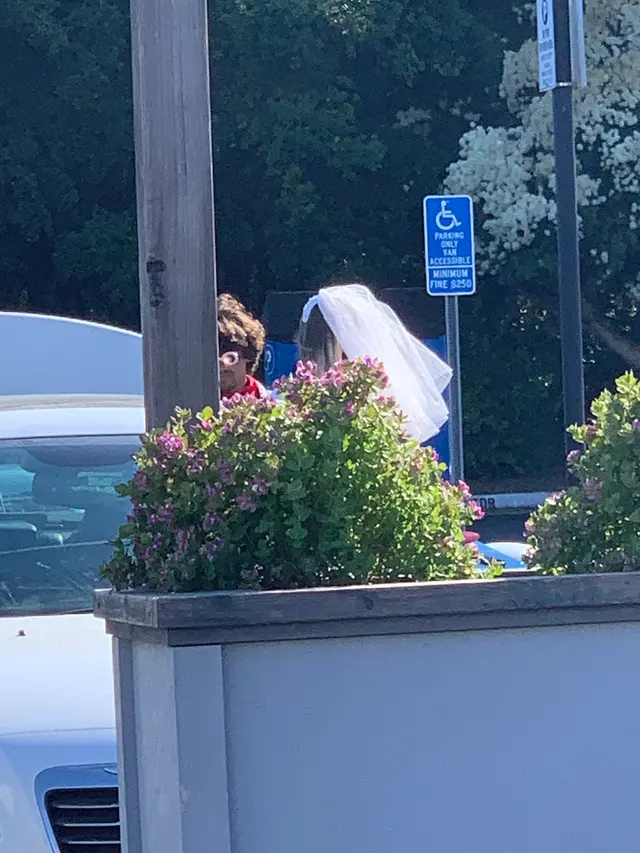 Adam Gurley Law Offices — customer photo 1