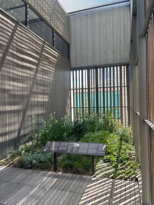 Customer photo of work by Clyfford Still Museum, from Sarah Fitzgerald's review