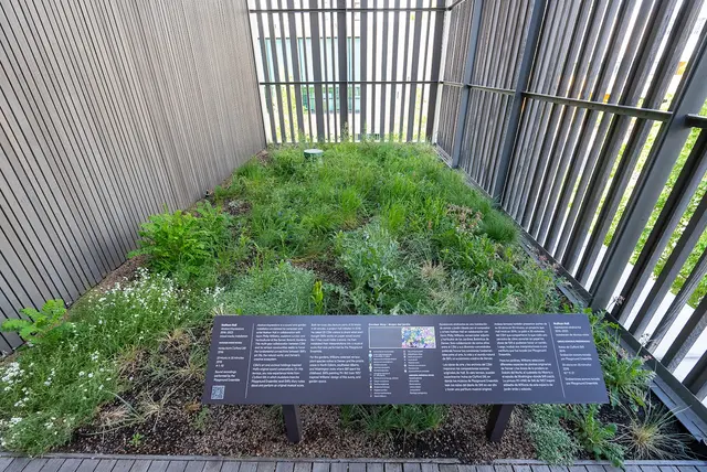 Clyfford Still Museum — photo from the business 12