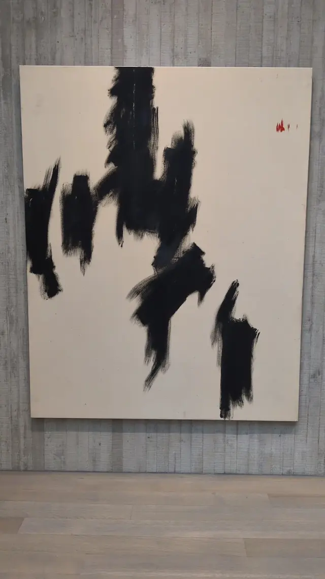 Customer photo of work by Clyfford Still Museum, from Mattho Mandersloot's review