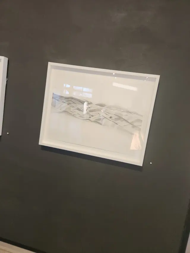 Space Gallery — customer photo 9