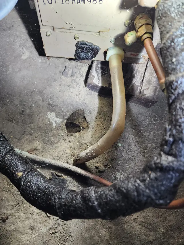 Spotlight Inspection Services — photo from the business 11