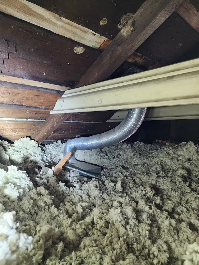 Spotlight Inspection Services — photo from the business 2
