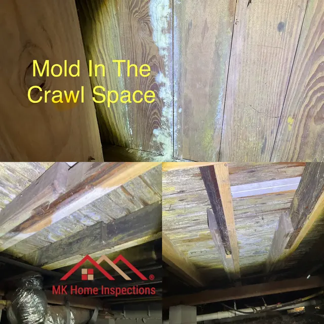 MK Home Inspections — photo from the business 1