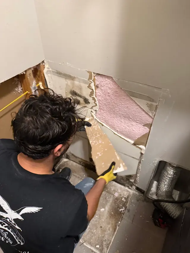 ASAP Pro Services — photo from the business 7