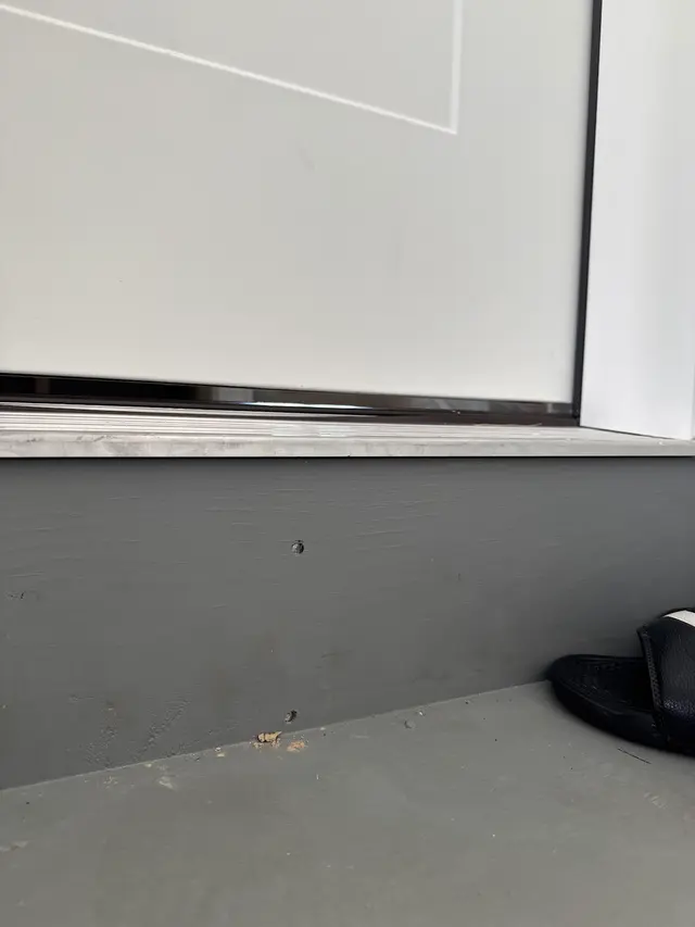 White Glove Building Inspections, Inc. — customer photo 5