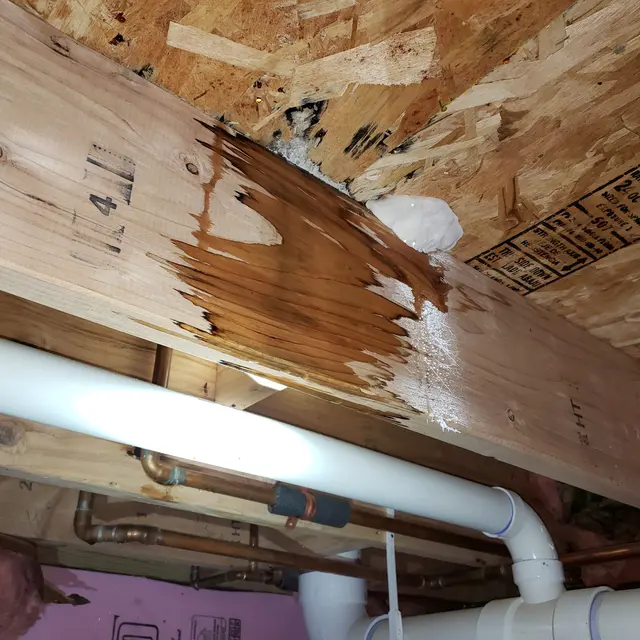 White Glove Building Inspections, Inc. — customer photo 4