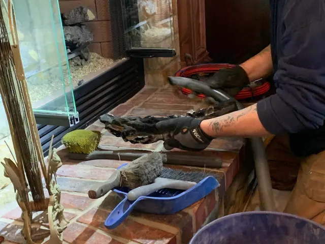 Expert Chimney Services, LLC — customer photo 3