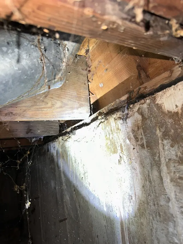 Castle Home Inspection — photo from the business 9