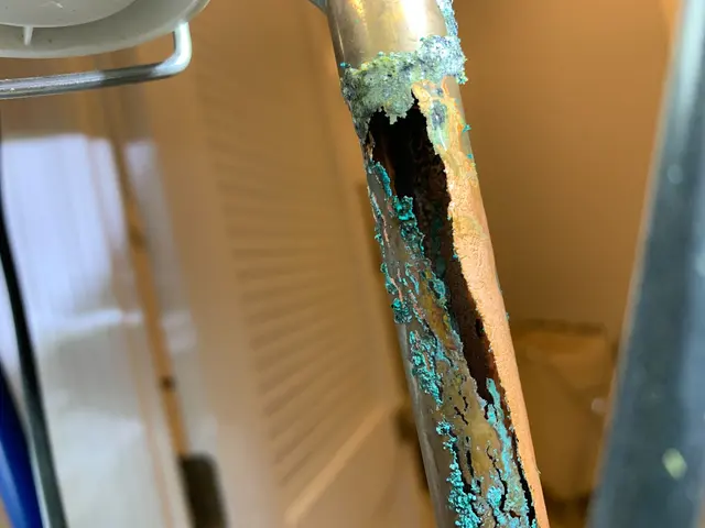 Castle Home Inspection — photo from the business 8