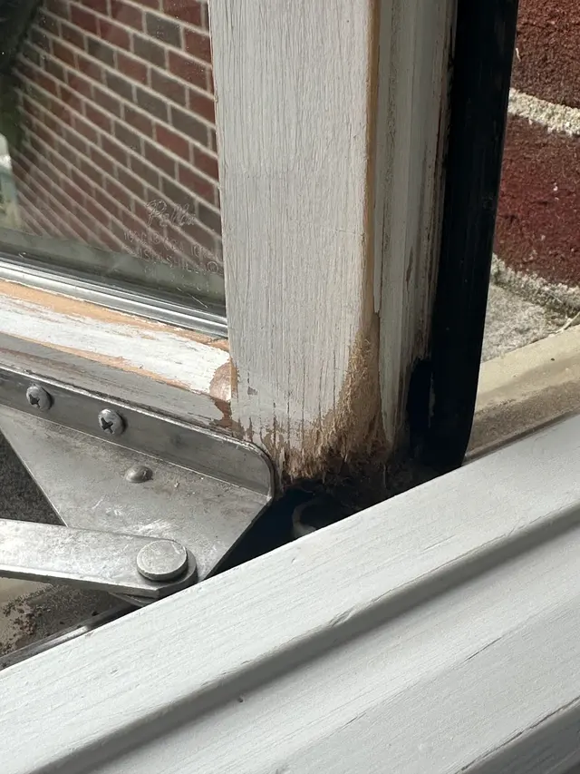 Assure Inspections Inc. — customer photo 6