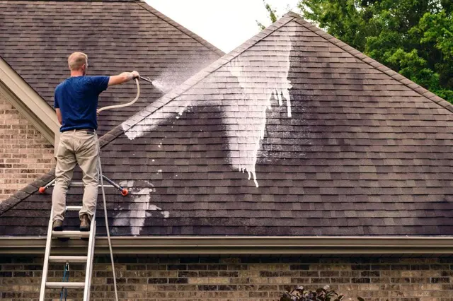 CA Solar Wash & Pigeon Control — photo from the business 10