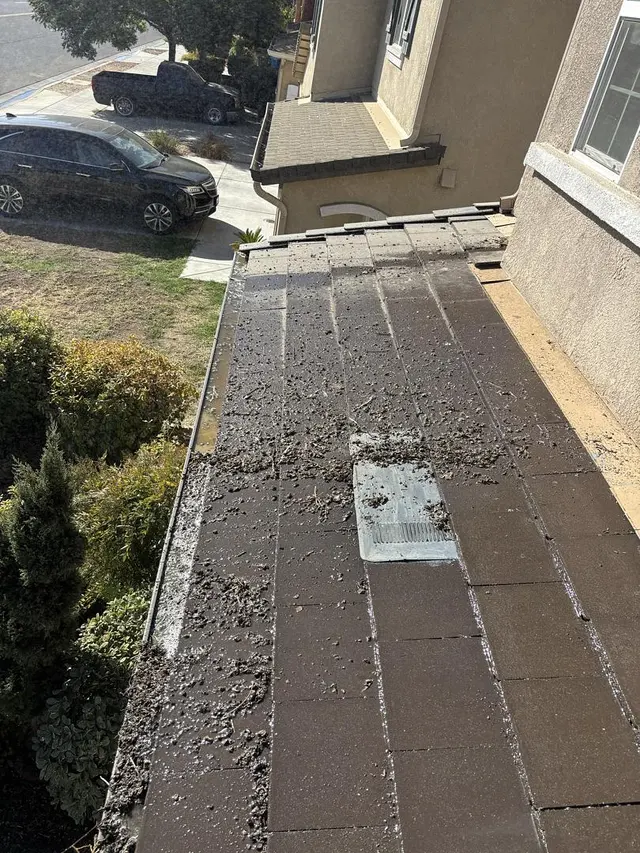 Customer photo of work by CA Solar Wash & Pigeon Control, from Sureima Santillan's review