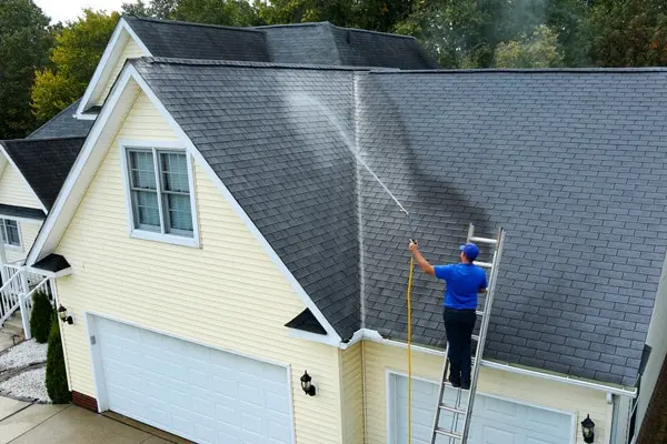 CA Solar Wash & Pigeon Control — photo from the business 4