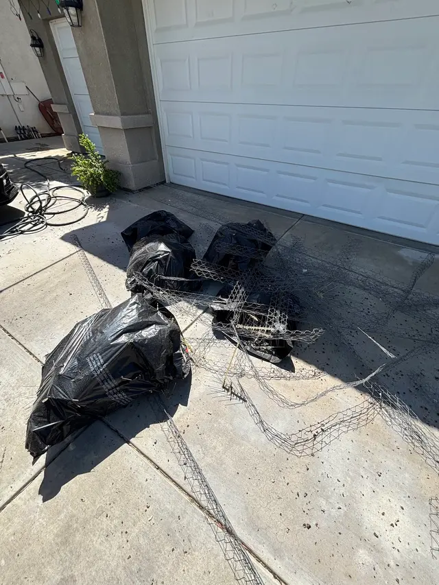 Customer photo of work by CA Solar Wash & Pigeon Control, from Alex Diaz Manzo's review