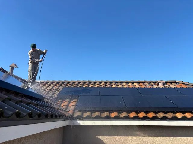 CA Solar Wash & Pigeon Control — photo from the business 12