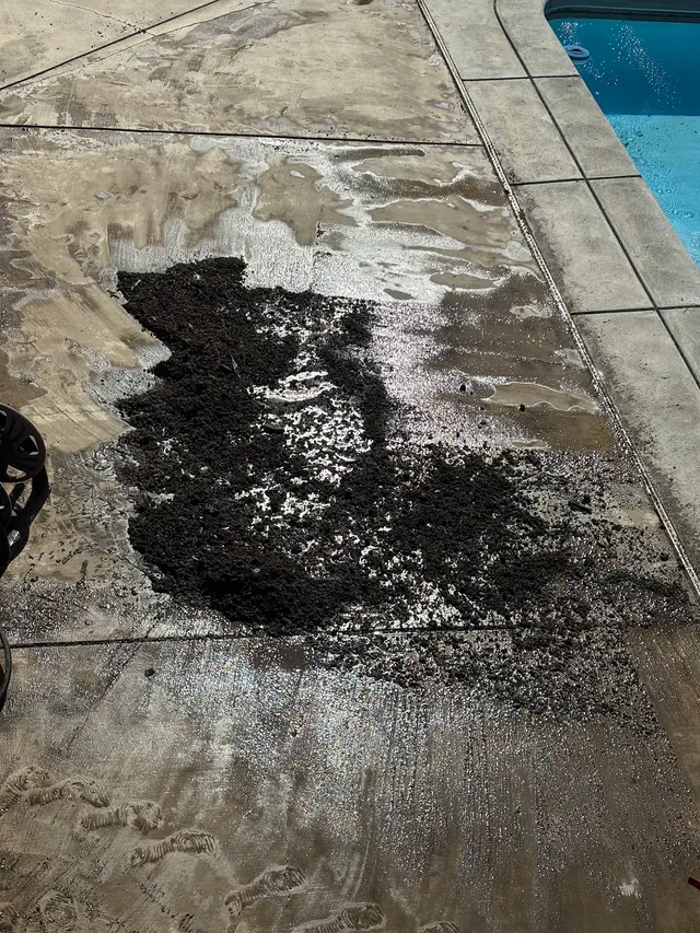 Customer photo of work by CA Solar Wash & Pigeon Control, from Alex Diaz Manzo's review