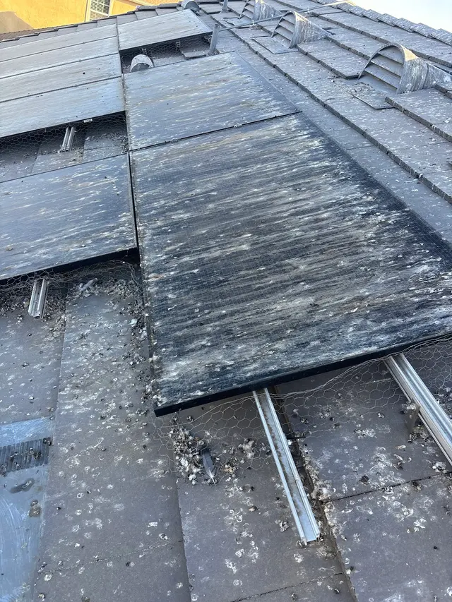 Customer photo of work by CA Solar Wash & Pigeon Control, from Sureima Santillan's review