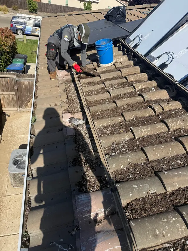 Golden Rays Solar & Cleaning Co. — photo from the business 12