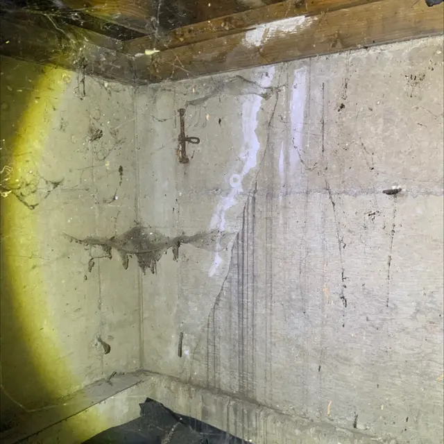 Pillar To Post Home Inspectors - THE KHAN TEAM — photo from the business 2