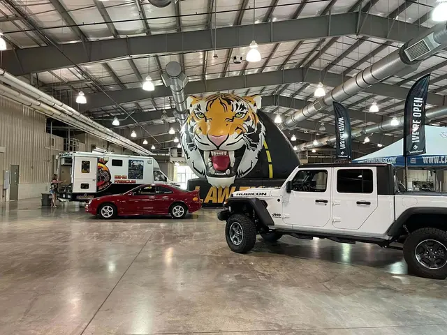 Law Tigers — photo from the business 10