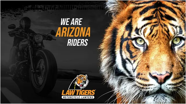 Law Tigers — photo from the business 1