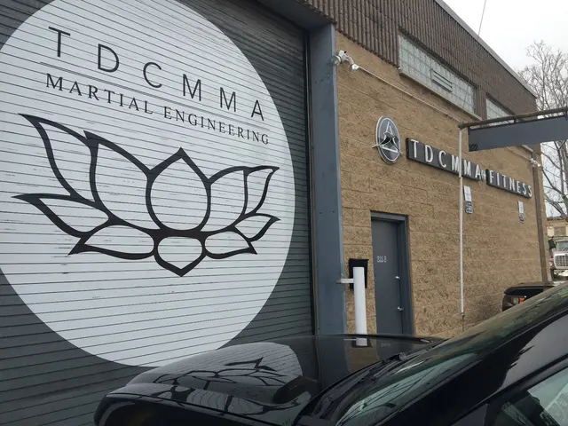TDC MMA + Fitness — photo from the business 12