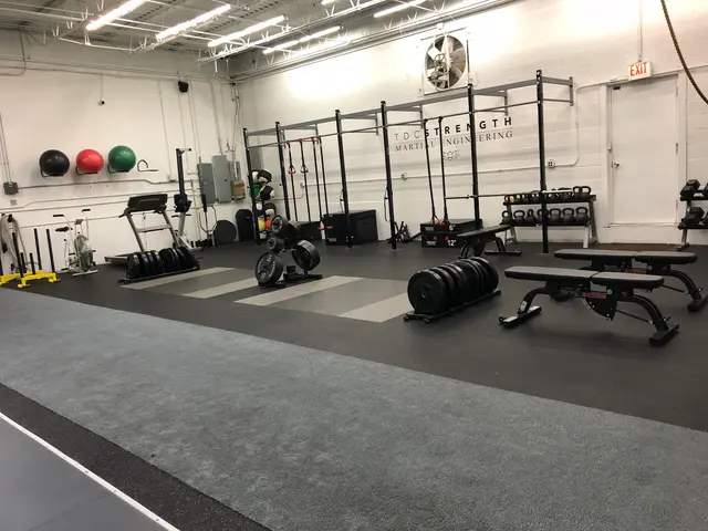 TDC MMA + Fitness — photo from the business 3