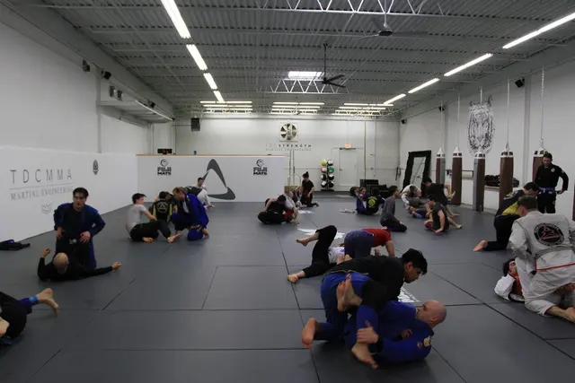 TDC MMA + Fitness — photo from the business 2