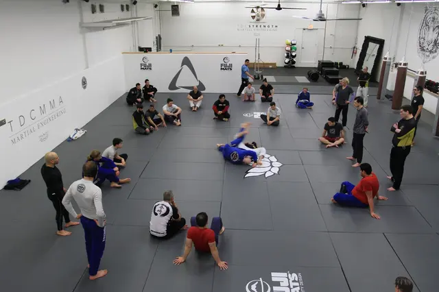 TDC MMA + Fitness — photo from the business 1