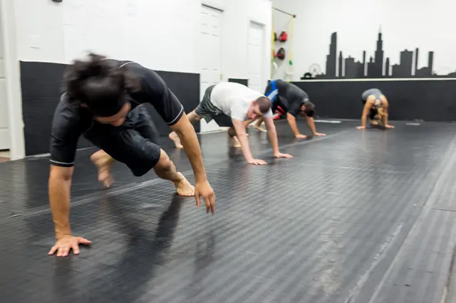 Chicago School Of Grappling — photo from the business 3
