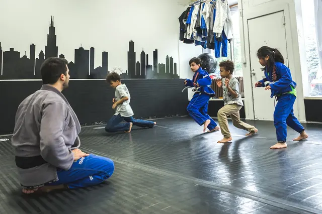 Chicago School Of Grappling — photo from the business 5