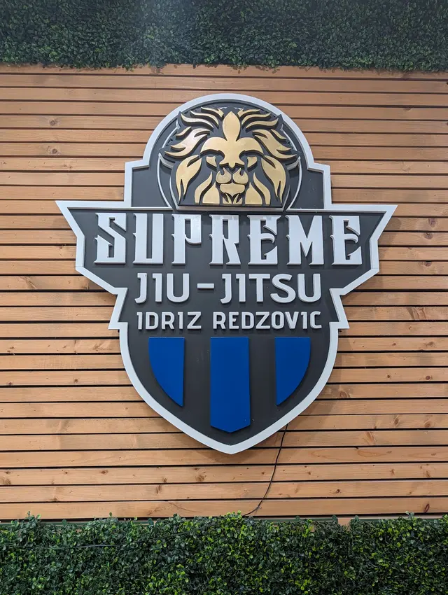 Customer photo of work by Supreme JIU JITSU Chicago Idriz Redzovic, from Nathan Hyland's review