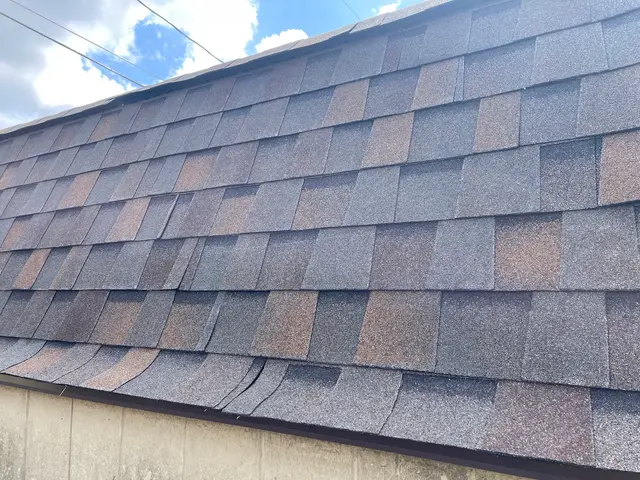 Customer photo from Rhonda's review