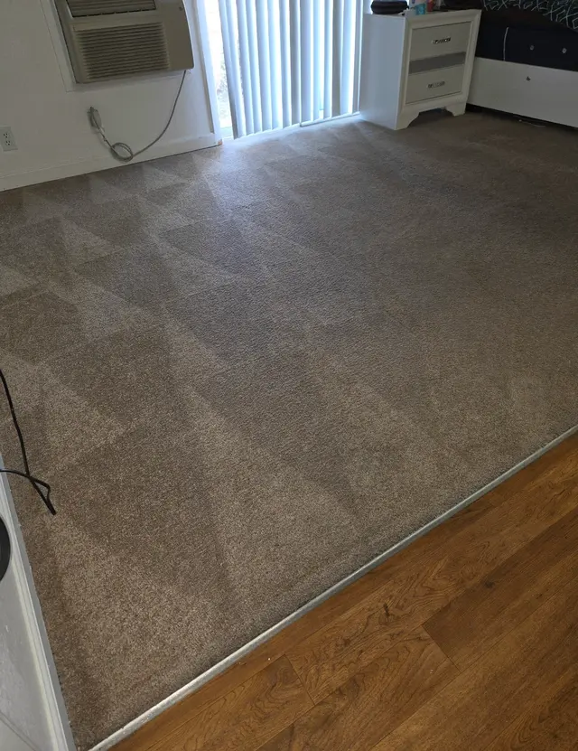 Customer photo from n's review