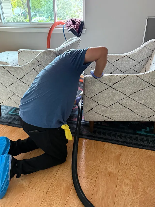 Eco-Bay Carpet & Upholstery Cleaning — customer photo 5