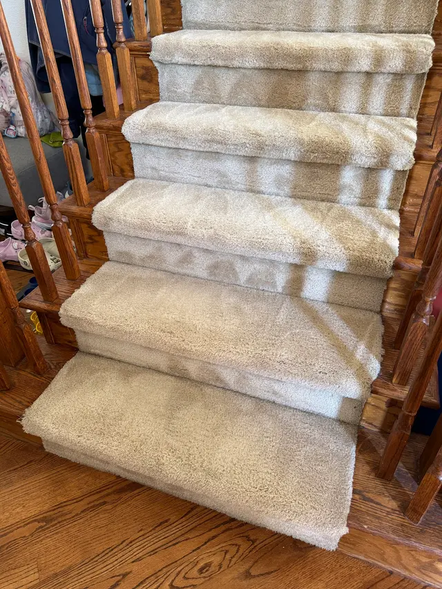 Eco-Bay Carpet & Upholstery Cleaning — customer photo 2