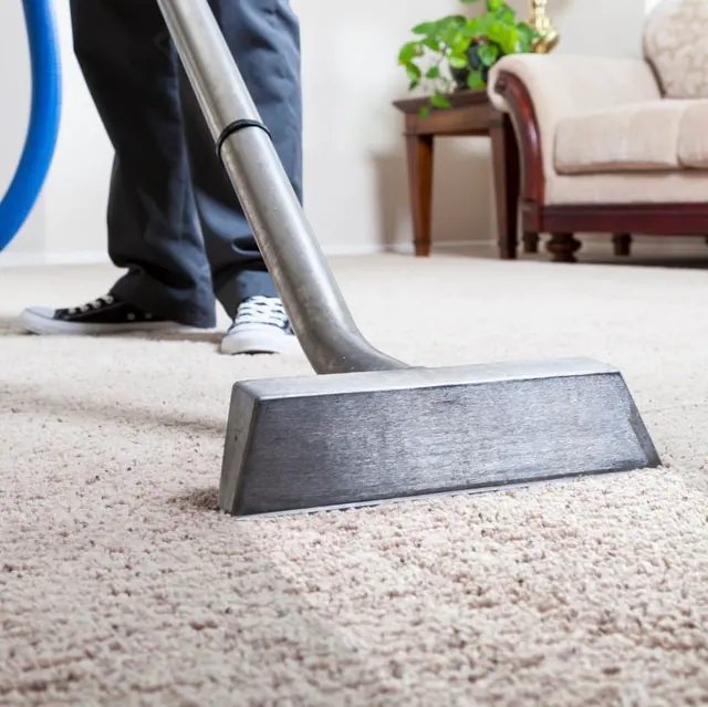 Eco-Bay Carpet & Upholstery Cleaning — photo from the business 6