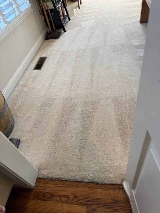 Eco-Bay Carpet & Upholstery Cleaning — customer photo 1