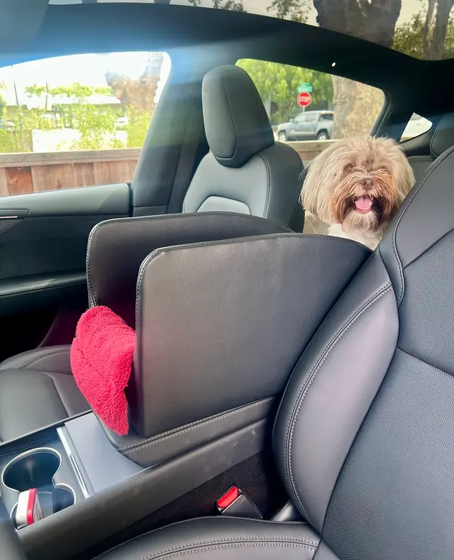 Customer photo of work by ABC Auto Upholstery, from Stefy M's review