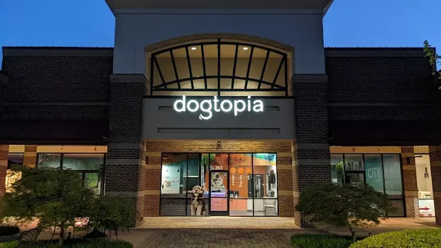 Dogtopia of Harrison Ave — photo from the business 1