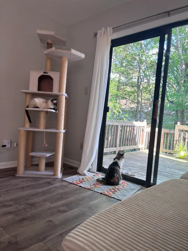 Customer photo of work by Petcare by Caroline, from Emma Jensen's review