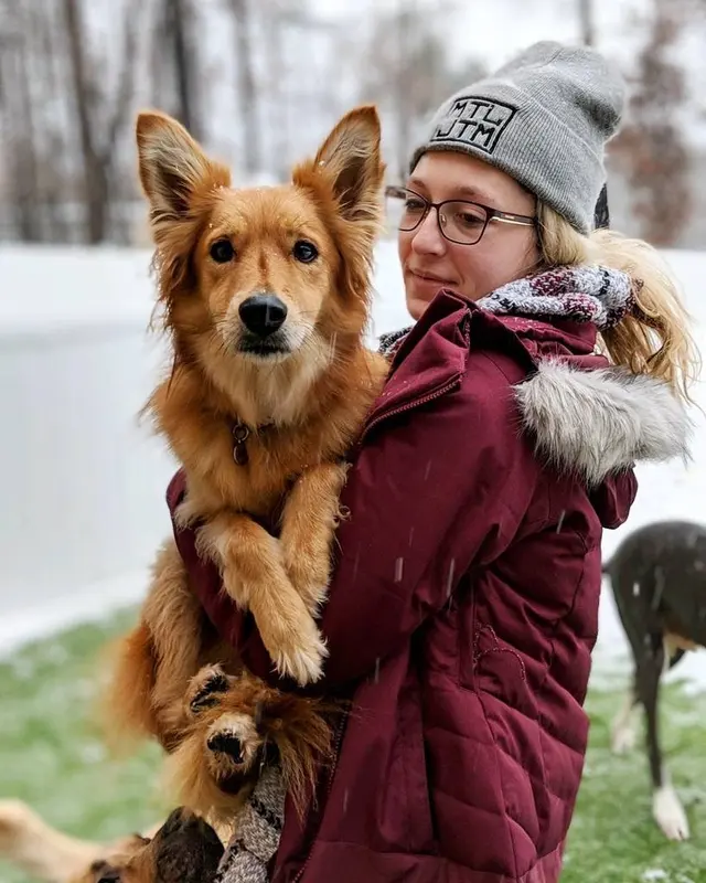 Petcare by Caroline — photo from the business 3