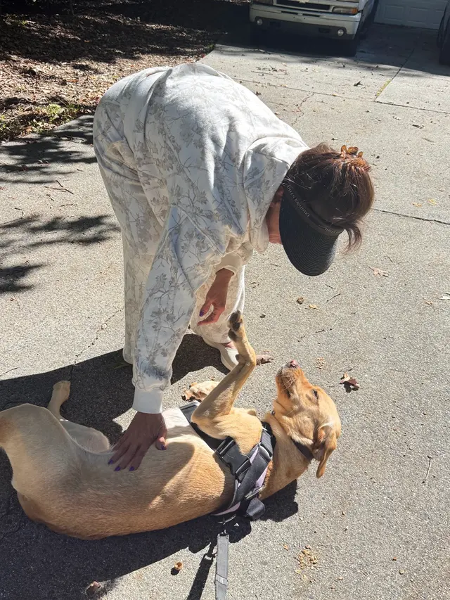 Best in Show Pet Sitting — photo from the business 5